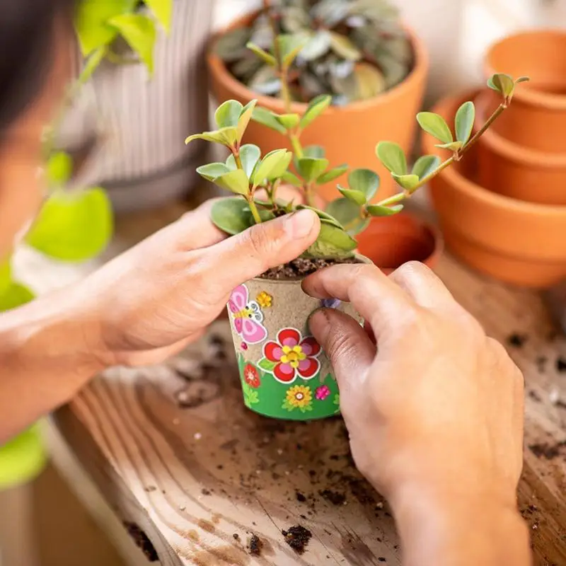 DIY 종이 화분 공예 키트 (돔형 덮개 포함) 창의적 - Art And Craft For Nursery 리뷰 및 가격